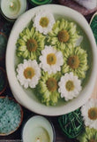 Image #10