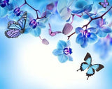 Image #14