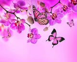 Image #17