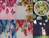 BUTTERFLY orchid flower Cover Case for iPad 6th 5th Air ipad mini 1 2 3 4 AUS SE